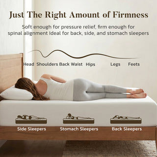 Dwynd 6 Inch Full Size Mattress in a Box, Memory Foam Mattress for Breathability & Pressure Relief, Ideal for Guest Room, Dormitory, Bunk Bed